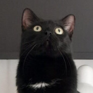 Flux's avatar