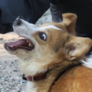 Chuuneey's avatar