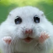 Jukspa's avatar