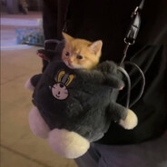 skai's avatar